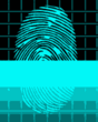Misc_31_4255.gif