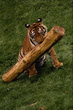 animal_078.jpg