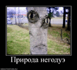 x_f8fd6957.jpg