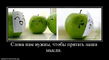 x_fdffe074.jpg