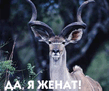 5d217f813d83bf30a56e844b5dddce7d_876dff65b9efba7c75ad3031c0db73b1.jpg