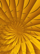 Fractal.jpg