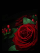 Roses_In_Dark.jpg