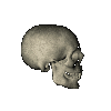 Ava6.png
