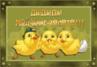 bd9c3c0e99b1.gif