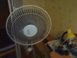 11082010058.jpg