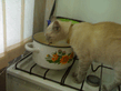 24072010047.jpg