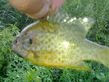 31072010056.jpg