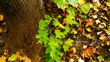 P1030443j.jpg