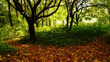 P1030448j.jpg