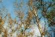 P1030450j.jpg