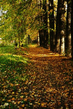 P1030459j.jpg