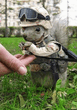 squirrel_soldier.jpg