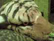 10102010_002_.jpg