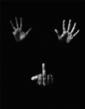 81pn8ccx.gif