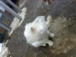18052010077.jpg