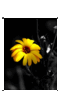 Wall_0442.png