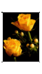 Wall_0444.png