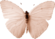 butterfly_black_360.png