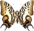 butterfly_black_998.png