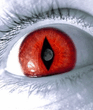 Images0003.jpg