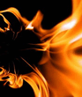 Images0021.jpg