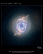 Cat's Eye Nebula NGC 6543