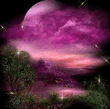 from_pv_1295875044.jpg