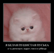 1vq9lmhqdajc.jpg
