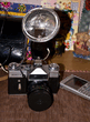 DSC_0035nz.jpg