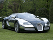 Bugatti_Veyron_.jpg