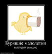636409_kuryaschie_maloletki.jpg