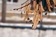 D70_test.jpg