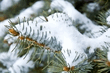 DSC_0057.jpg