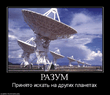 640444_razum.jpg