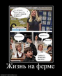 957736_zhizn_na_ferme.jpg
