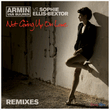 Armin feat. Sophie Ellis Bextor - Not Giving Up On Lo.jpeg