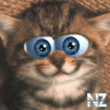 Lupi_kot.gif