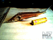 Sterlaydka_RL0001.jpg