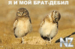 2_debila.jpg