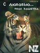 koshechka.jpg
