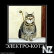 311925_elektro_kote.jpg
