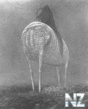 zdzislaw_beksinski_107.jpg