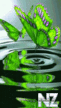 Babochka.gif
