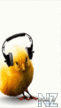 Cipa.gif
