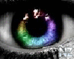 from_pv_1310598290.jpg