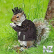 post_13_1100677665.jpg