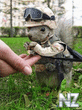 post_26_1150491911.jpg