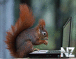 post_26_1155846128.jpg