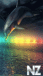 Delfin3.gif